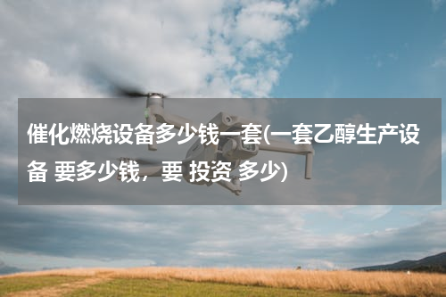 催化燃烧设备多少钱一套(一套乙醇生产设备 要多少钱，要 投资 多少)