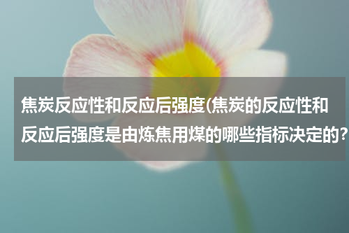 焦炭反应性和反应后强度(焦炭的反应性和反应后强度是由炼焦用煤的哪些指标决定的？影响推焦电流不稳定的因素有哪些？)