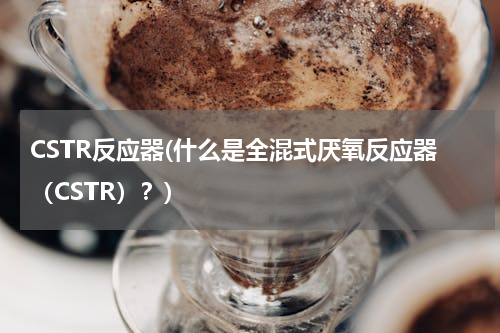 CSTR反应器(什么是全混式厌氧反应器（CSTR）？)
