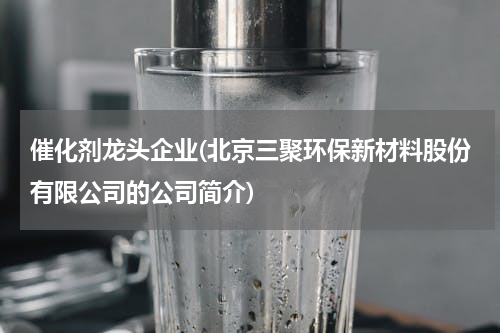 催化剂龙头企业(北京三聚环保新材料股份有限公司的公司简介)