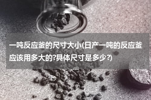 一吨反应釜的尺寸大小(日产一吨的反应釜应该用多大的?具体尺寸是多少?)