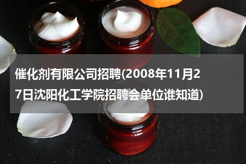 催化剂有限公司招聘(2008年11月27日沈阳化工学院招聘会单位谁知道)