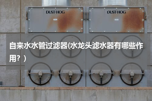自来水水管过滤器(水龙头滤水器有哪些作用？)
