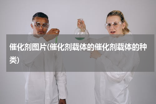 催化剂图片(催化剂载体的催化剂载体的种类)