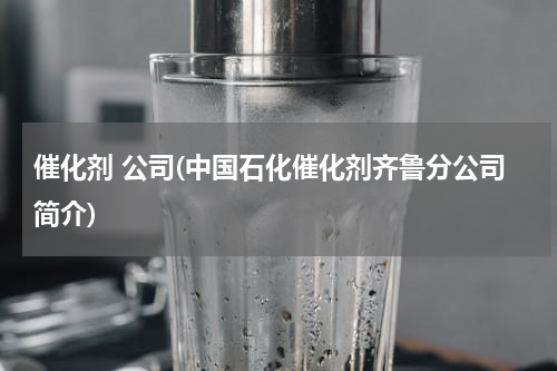 催化剂 公司(中国石化催化剂齐鲁分公司简介)
