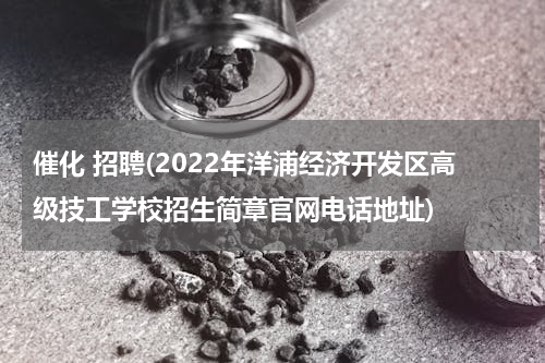 催化 招聘(2022年洋浦经济开发区高级技工学校招生简章官网电话地址)