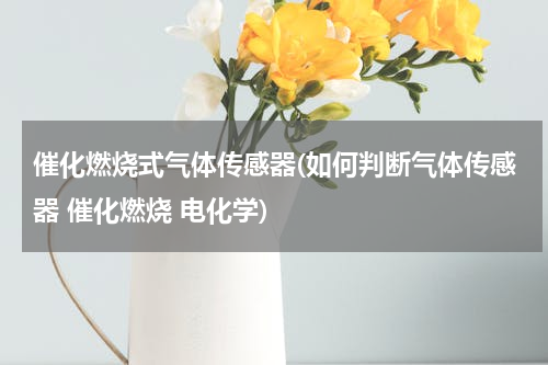催化燃烧式气体传感器(如何判断气体传感器 催化燃烧 电化学)