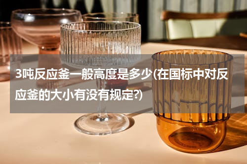 3吨反应釜一般高度是多少(在国标中对反应釜的大小有没有规定?)