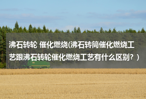 沸石转轮 催化燃烧(沸石转筒催化燃烧工艺跟沸石转轮催化燃烧工艺有什么区别？)