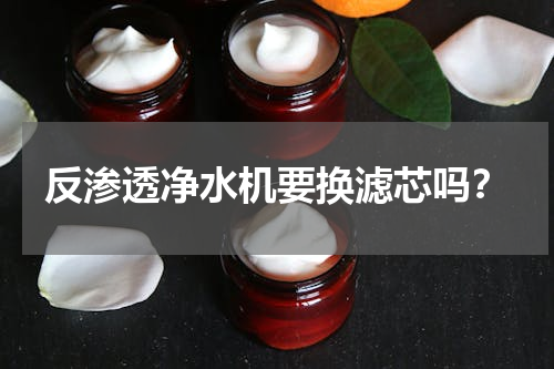 反渗透净水机要换滤芯吗？