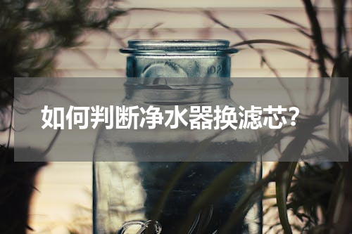 如何判断净水器换滤芯？