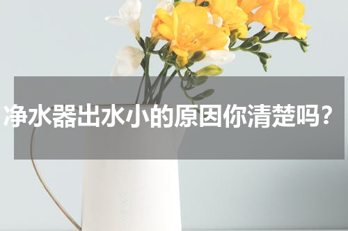 净水器出水小的原因你清楚吗？