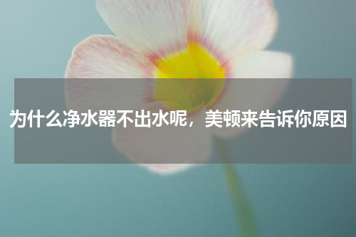 为什么净水器不出水呢，美顿来告诉你原因