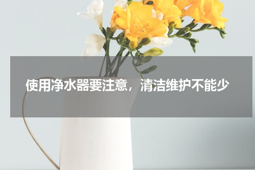 使用净水器要注意，清洁维护不能少