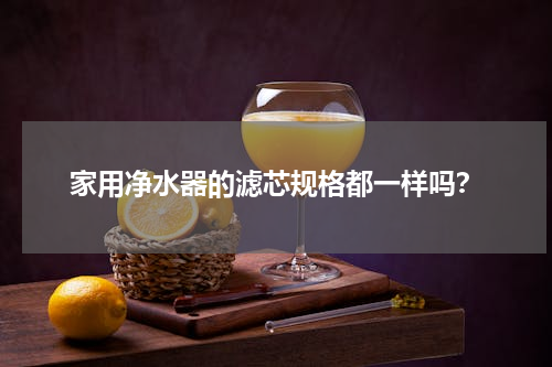 家用净水器的滤芯规格都一样吗？