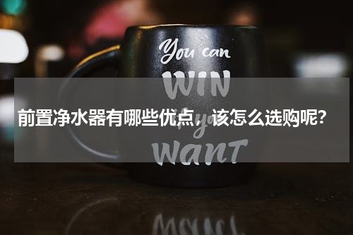 前置净水器有哪些优点，该怎么选购呢？