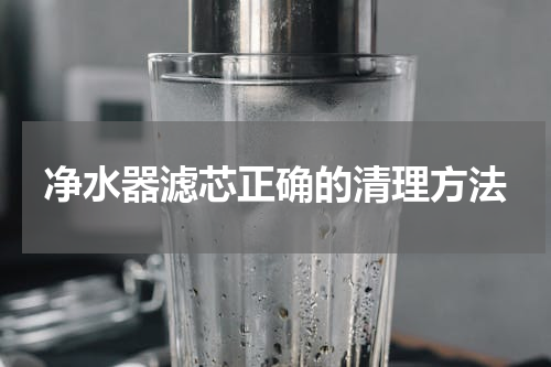 净水器滤芯正确的清理方法