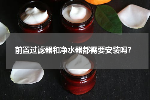 前置过滤器和净水器都需要安装吗？