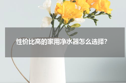 性价比高的家用净水器怎么选择？