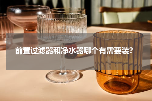 前置过滤器和净水器哪个有需要装？