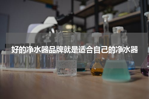 好的净水器品牌就是适合自己的净水器