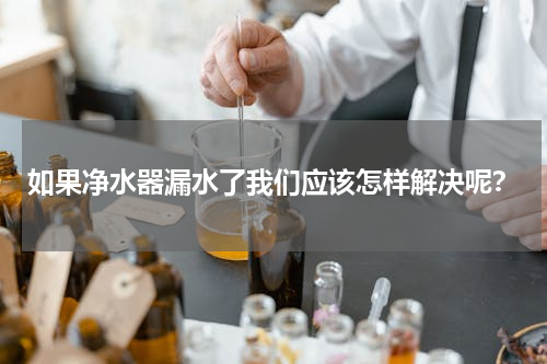 如果净水器漏水了我们应该怎样解决呢？